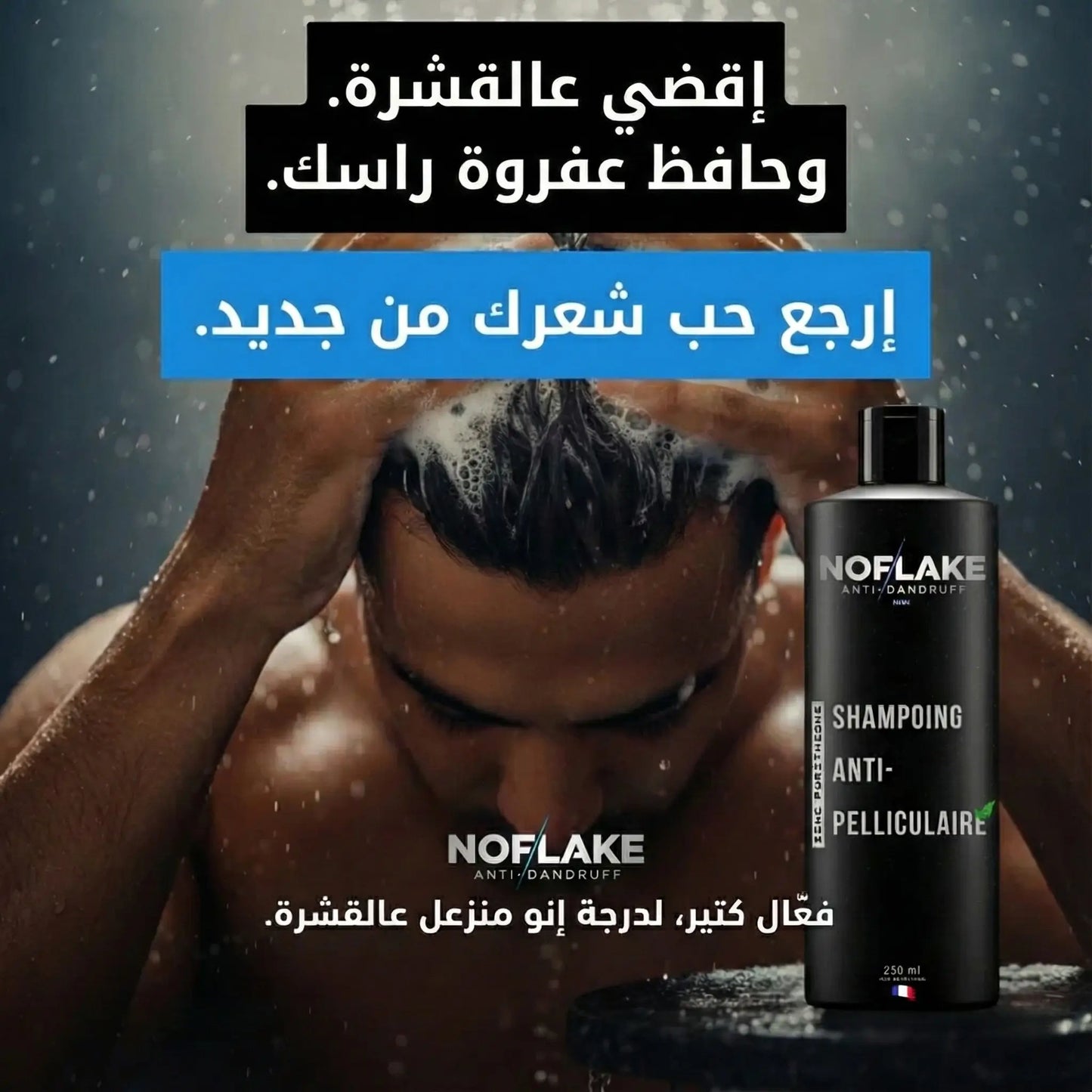شامبو No Flake للقشرة